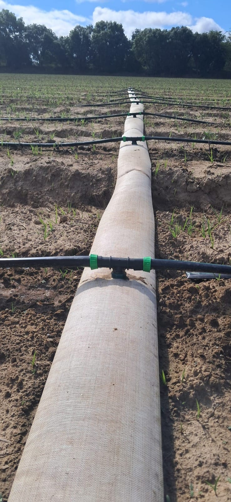 Condução de Água