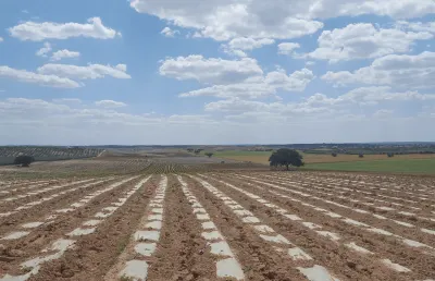 Plástico Negro e Natural — miniatura 1