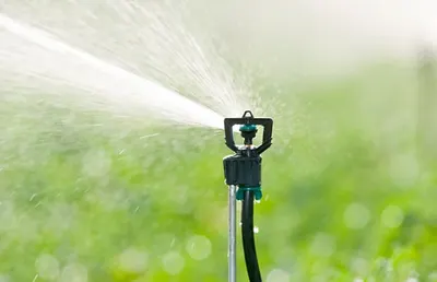 Sprinkler Irrigation