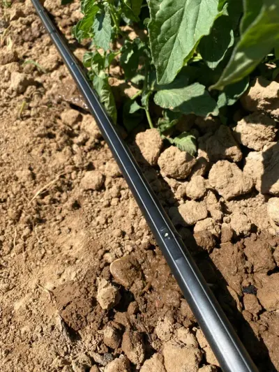 TurboExcel Cinta de Riego — miniatura 3